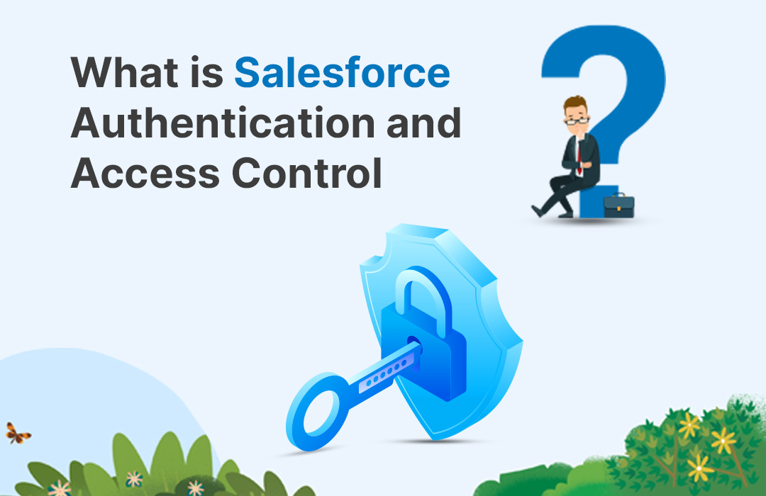What is Salesforce Authentication and Access Control