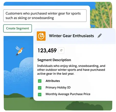 Salesforce marketing AI Implementation service