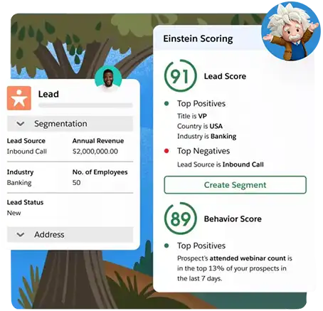 Salesforce marketing AI Implementation service