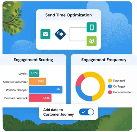 Salesforce marketing AI Implementation service